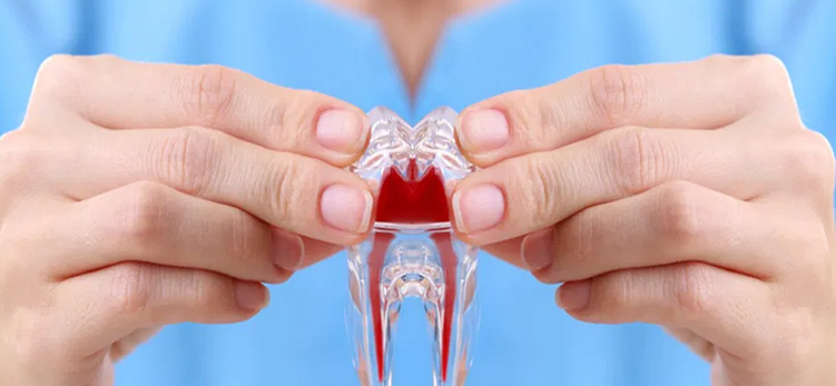 Endodontist Doctors in Lucknow